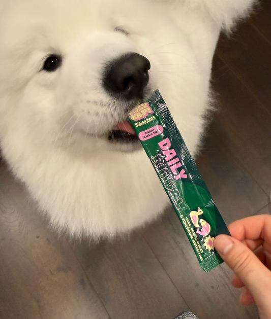 Daily Ritual Lickable Treats