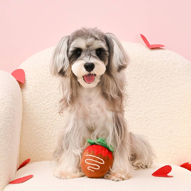 Chocolate Covered Strawberry Dog Toy