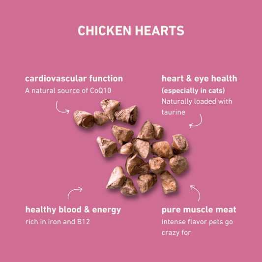Freeze-Dried Chicken Hearts Treats