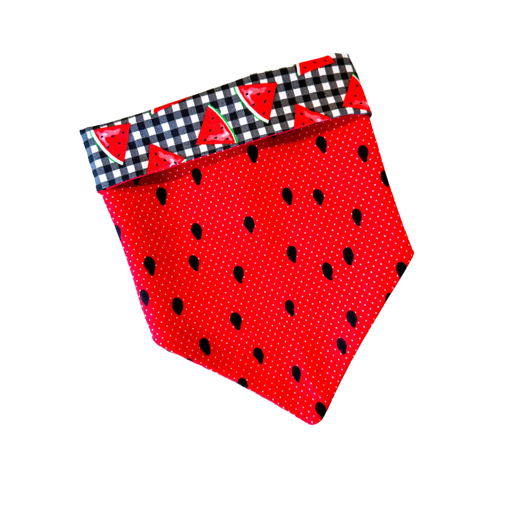 Watermelon Bandana