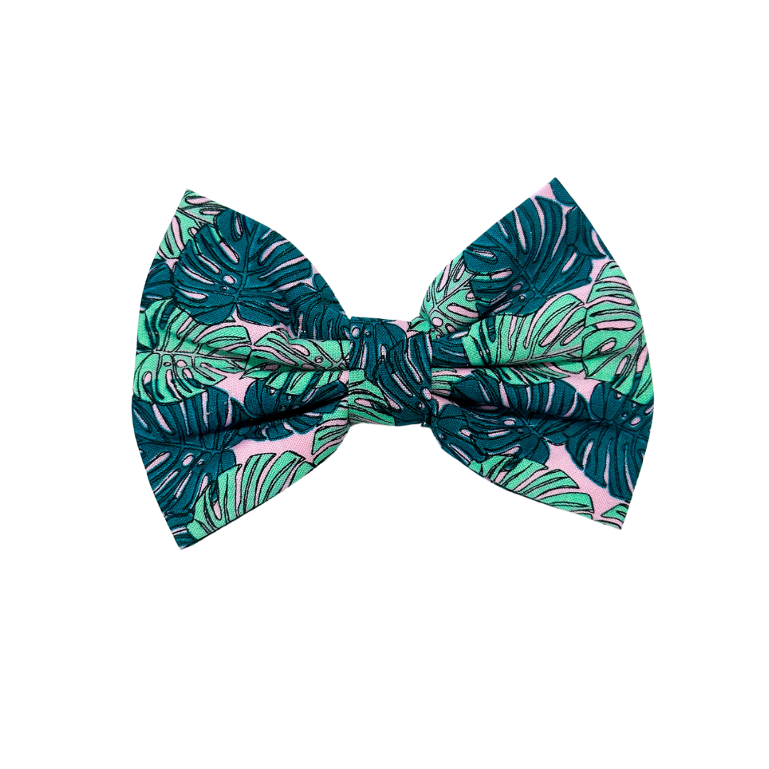 Monstera Bow