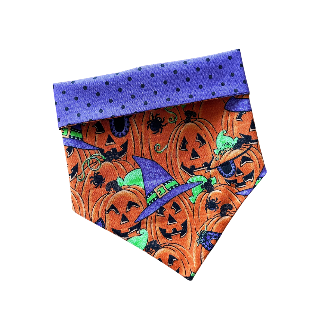Costume Party Bandana