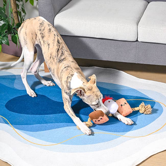 S'mores Rope Toy