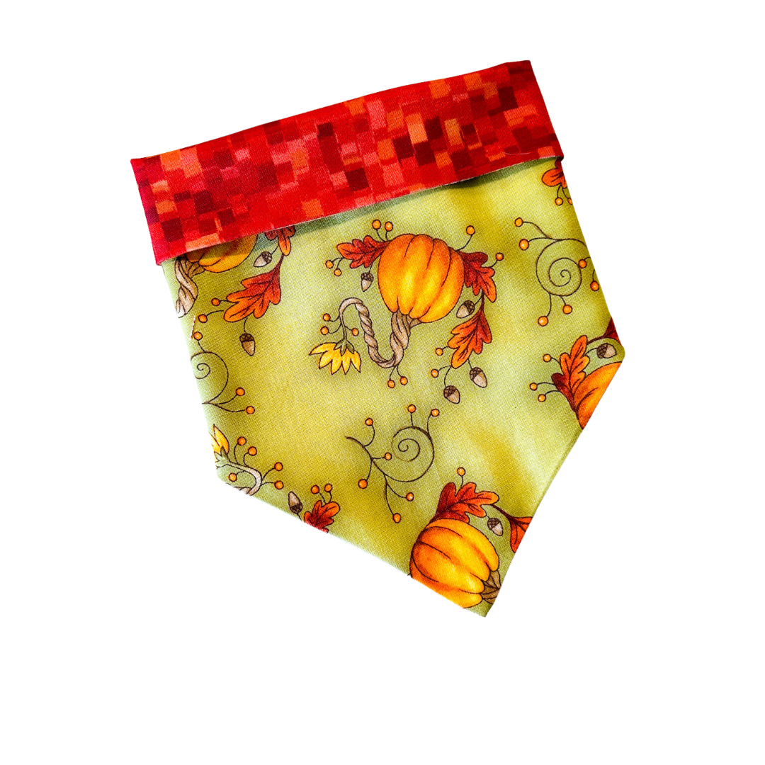 Pumpkin Season Bandana