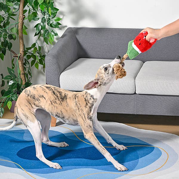 Watermelon Popsicles Dog Toy