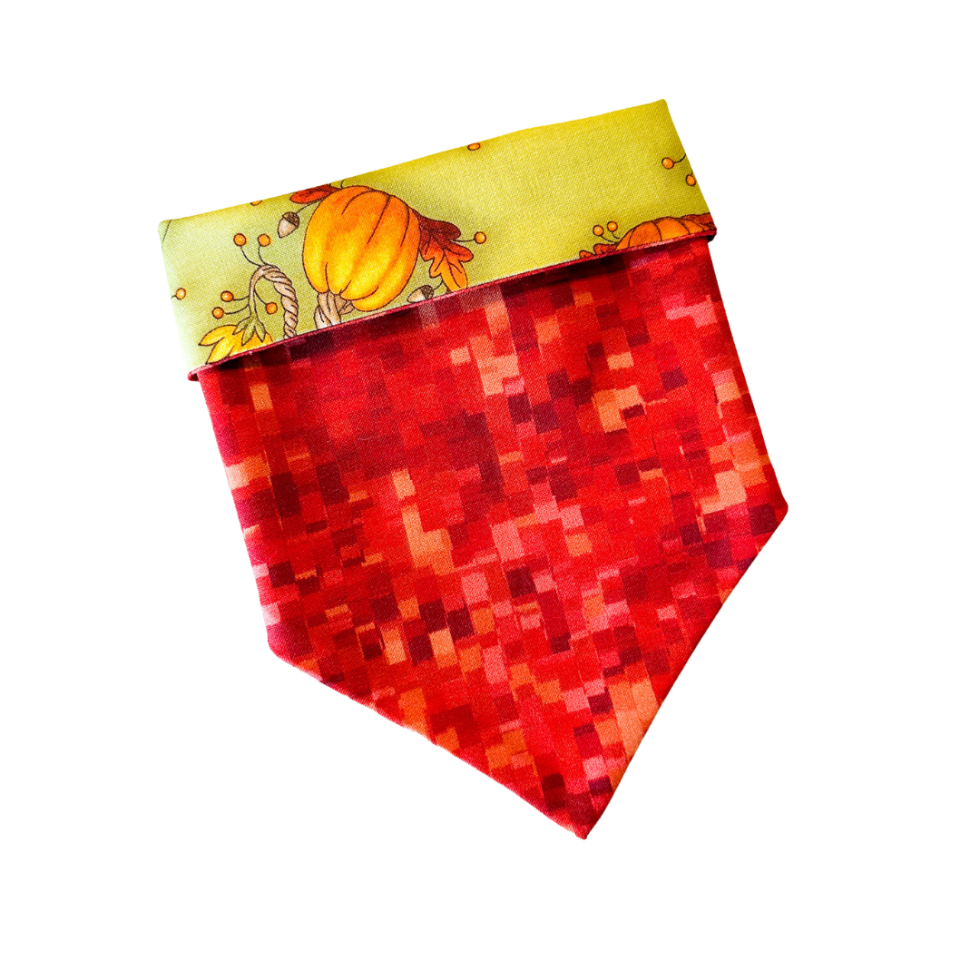 Pumpkin Season Bandana