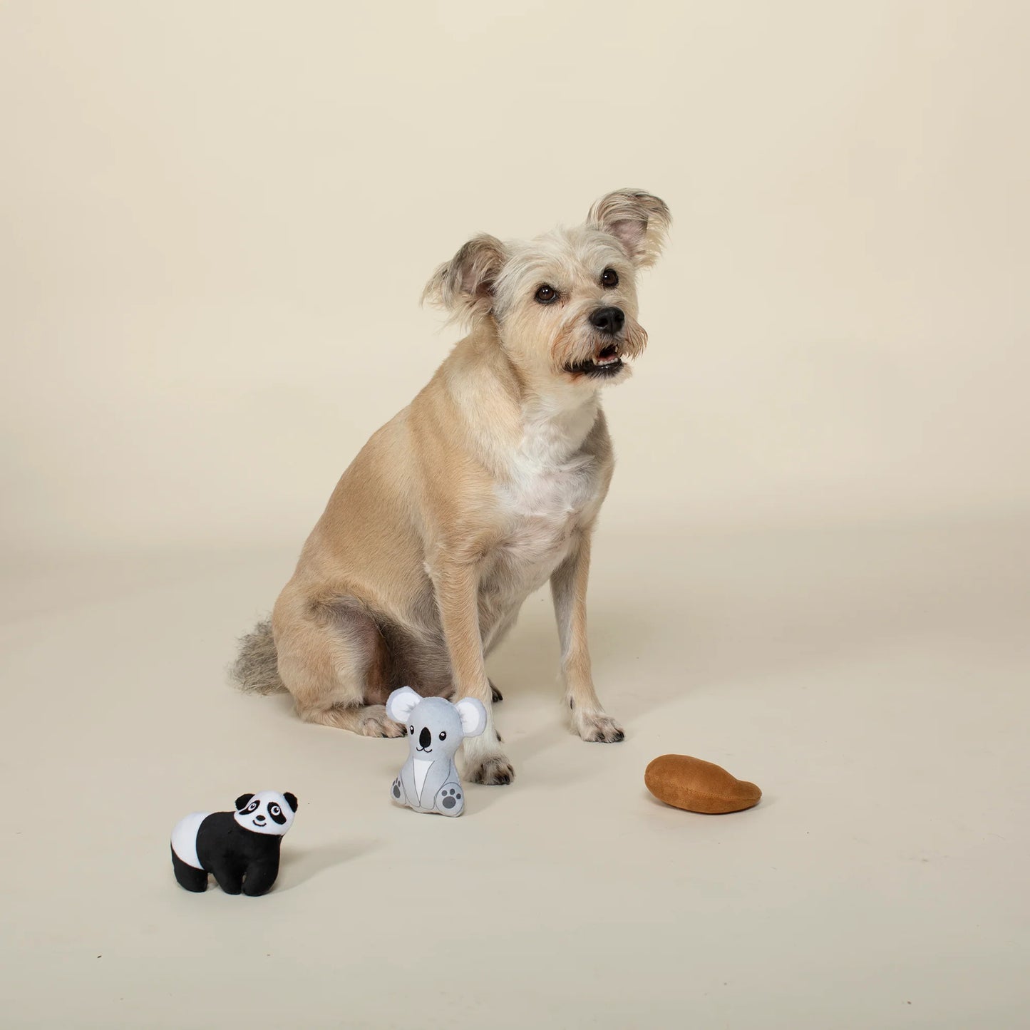 Leafin' Around Mini Dog Toy