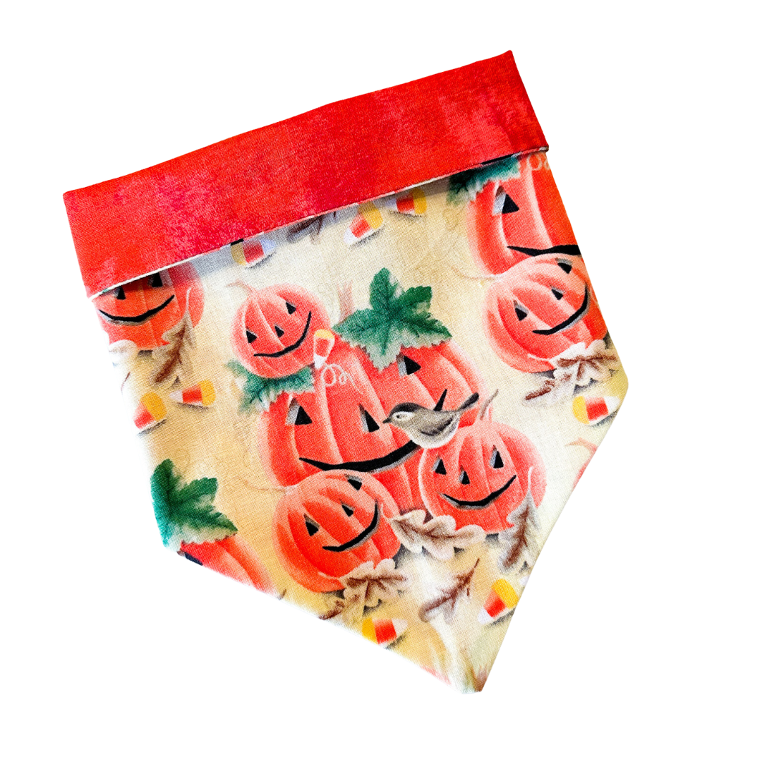 Punkin’ Family Bandana