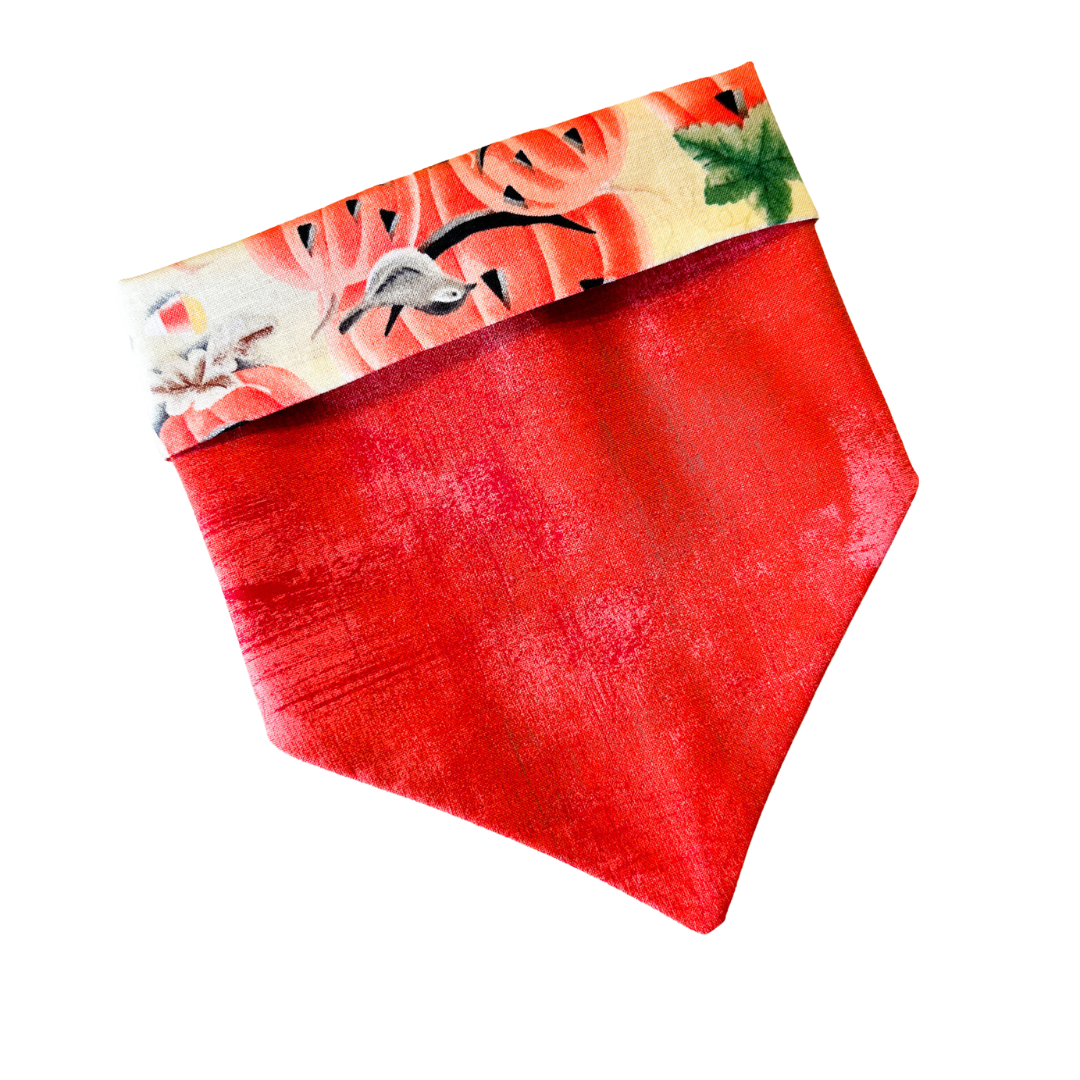 Punkin’ Family Bandana