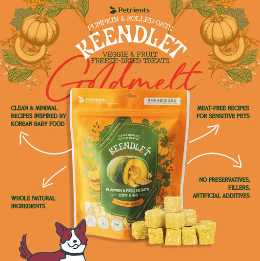 Pumpkin & Rolled Oats Mini Treat