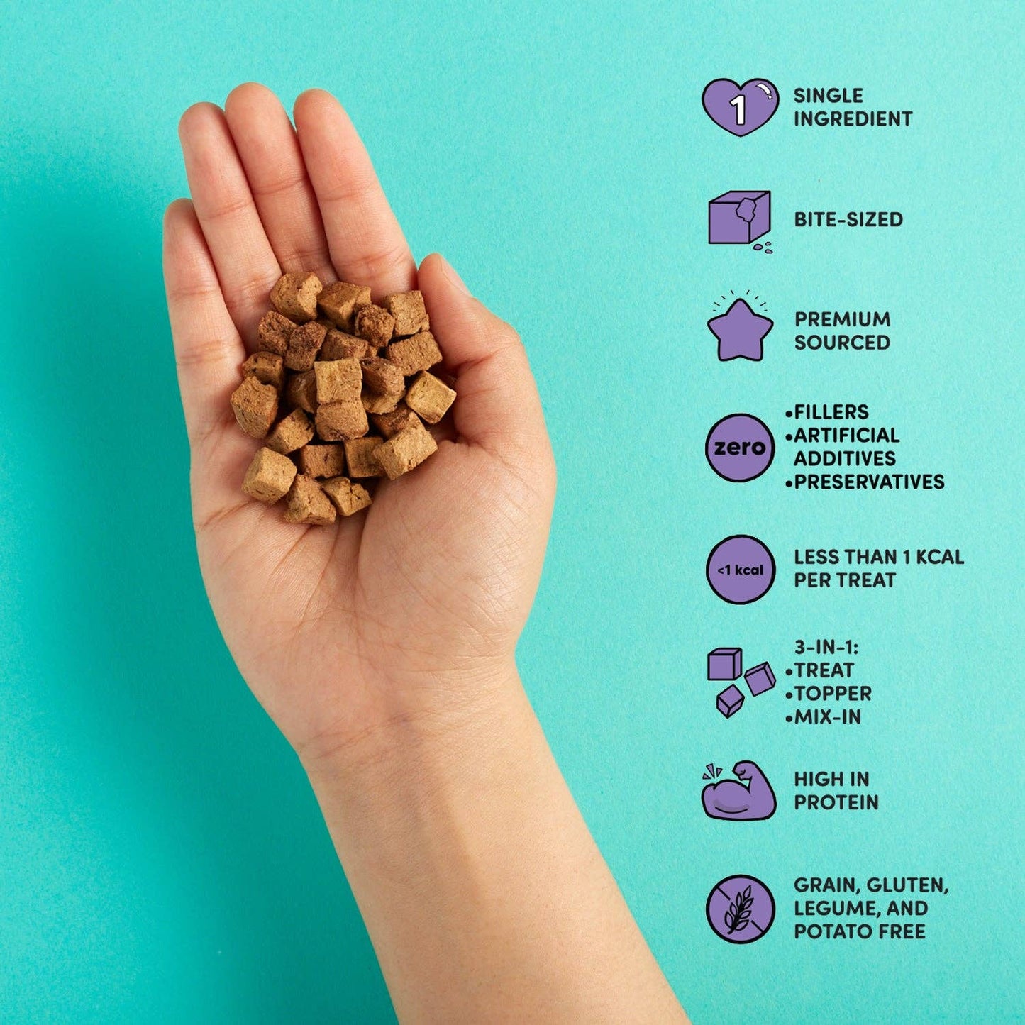 Chicken Liver Treats