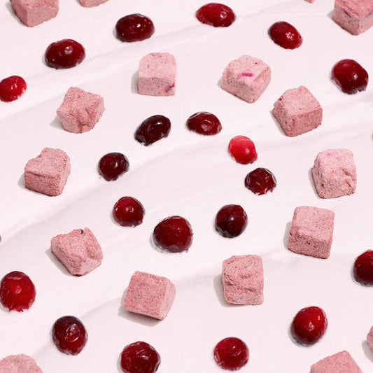 Freeze-dried Greek Yogurt with Cranberry