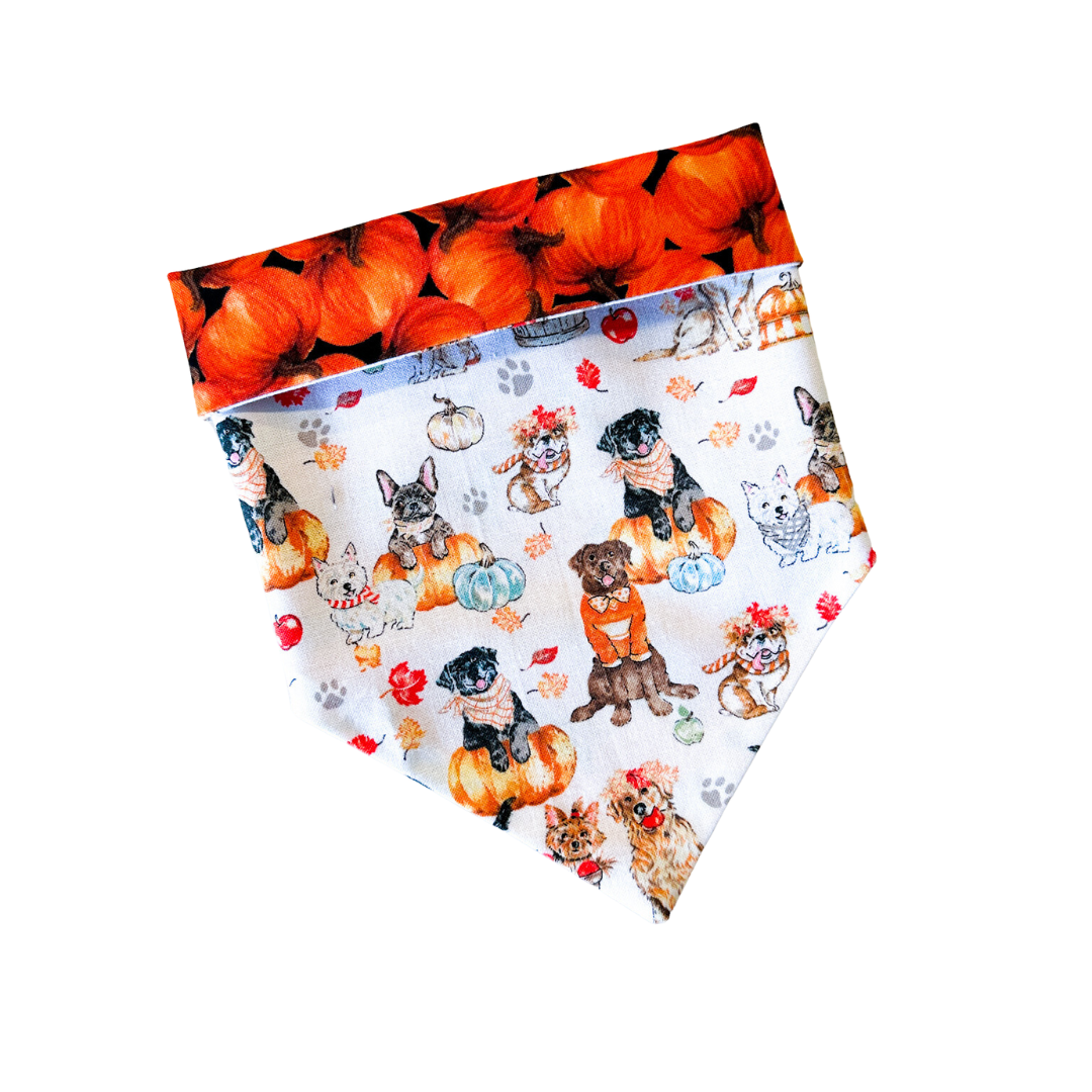 Hello Fall Bandana