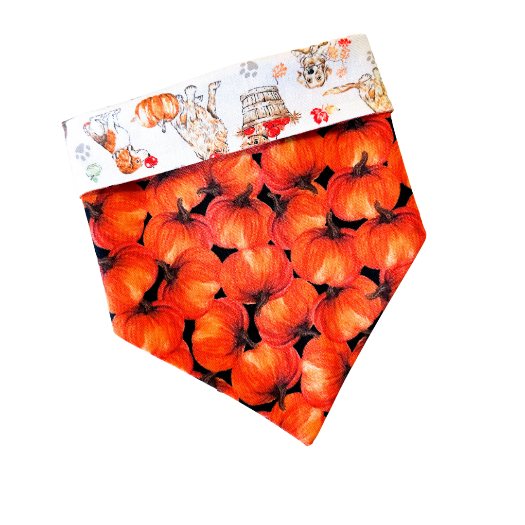 Hello Fall Bandana