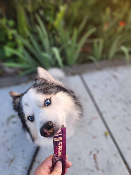 Calm & Chill Lickable Treats
