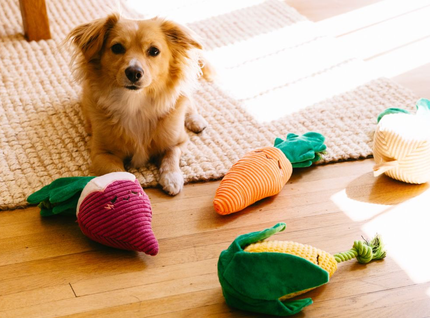 Radish Dog Toy