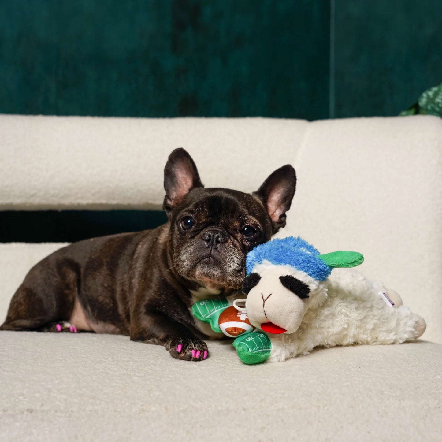 Tailgate Lamb Chop Dog Toy
