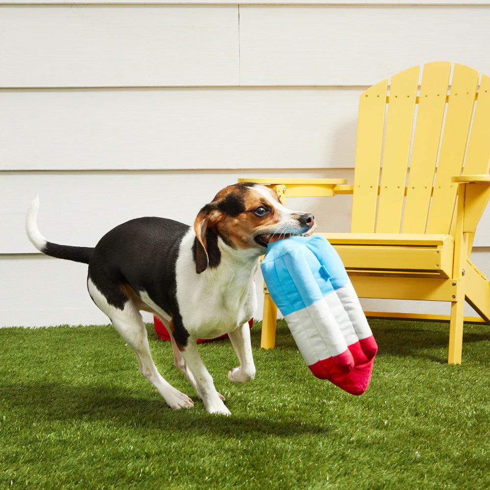 Rocket Popsicle Dog Toy