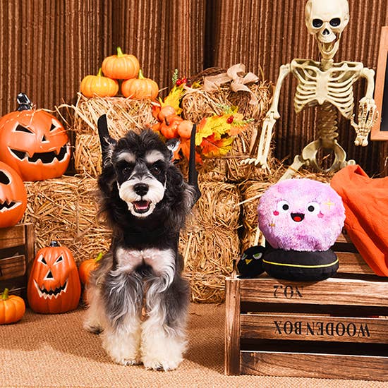 Crystal Ball Dog Plush Toy