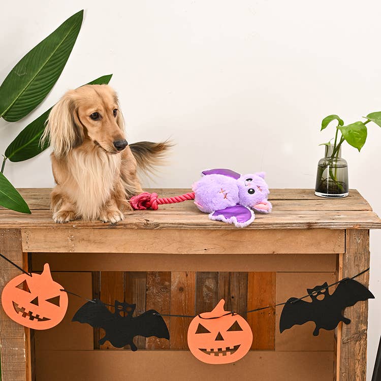 Howloween Night Bat Toy