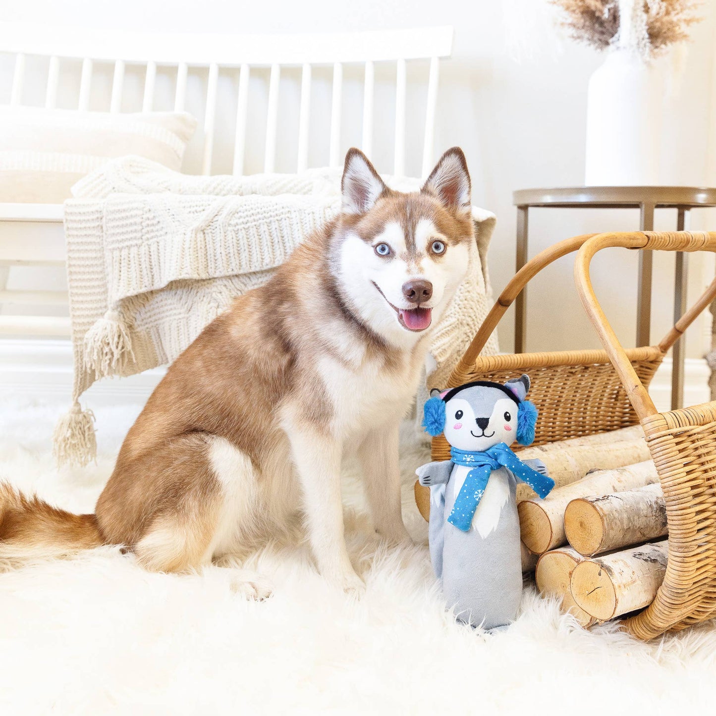 Looking Cool Dog Toy