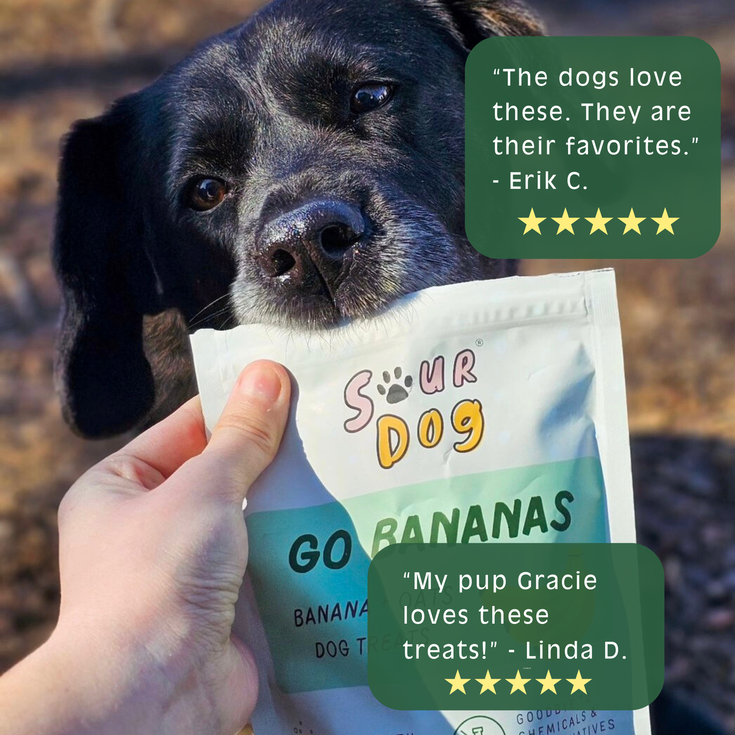 Banana Sourdough Dog Treats