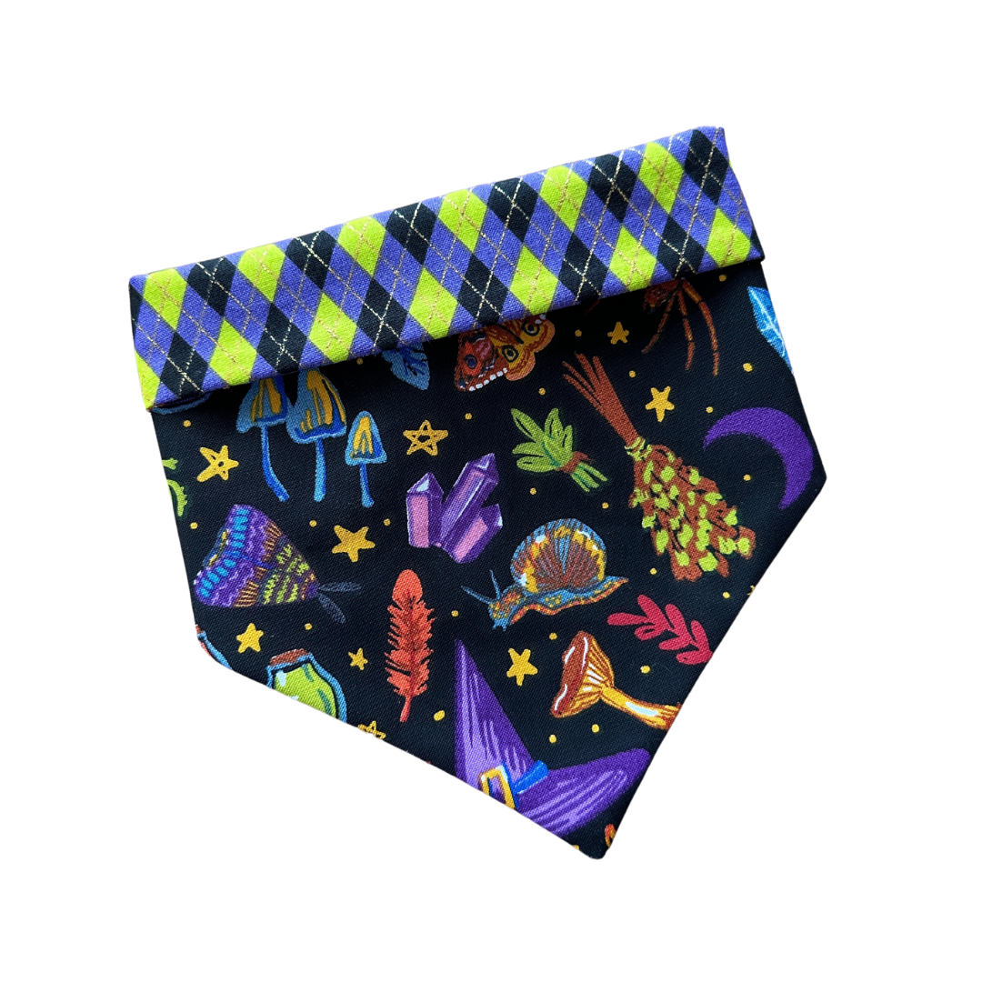 Bewitched Bandana