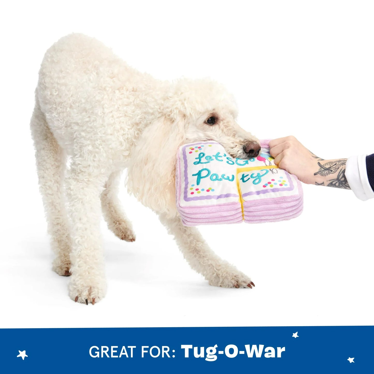 Let's Go Pawty Dog Toy