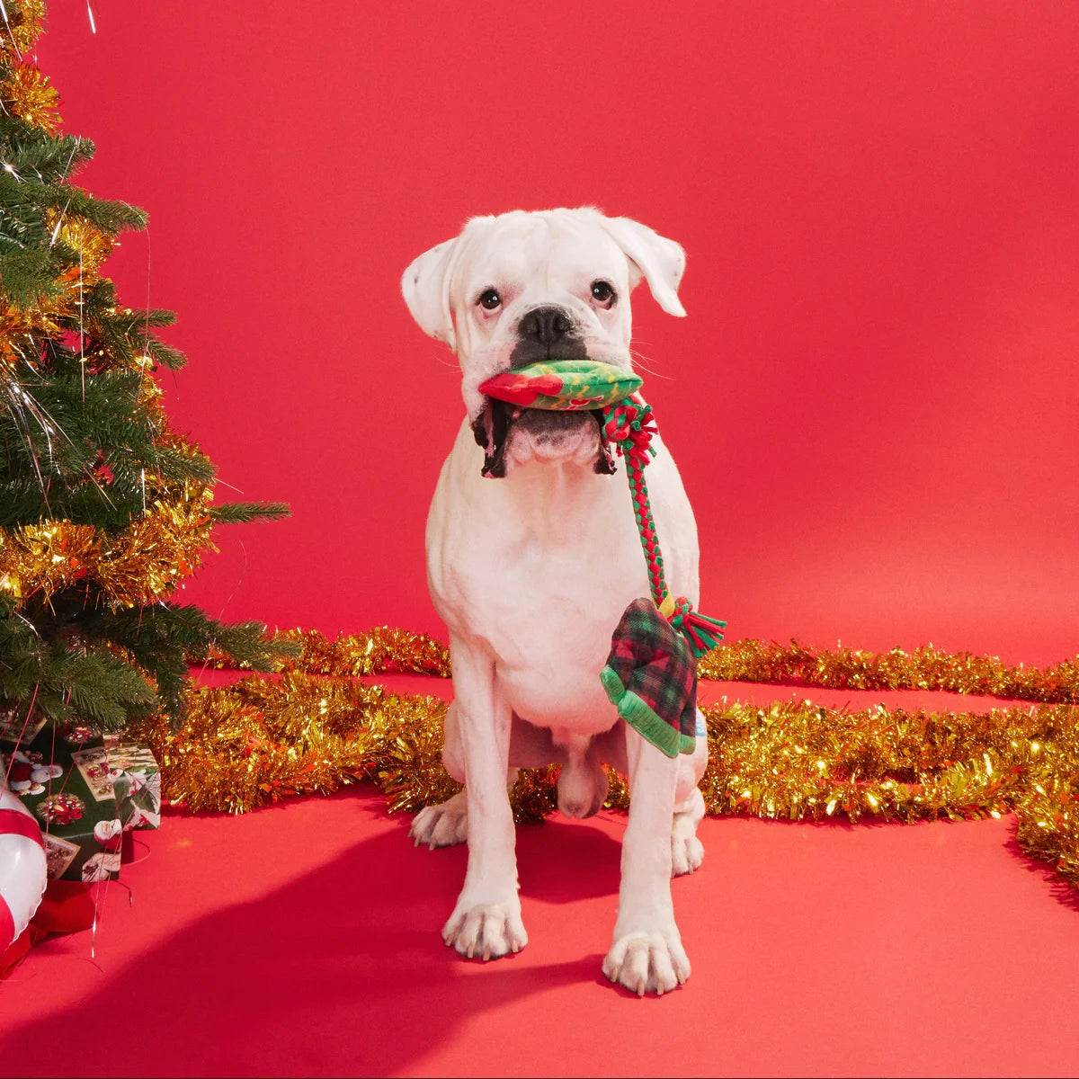 Christmutts Sweater Dog Toy