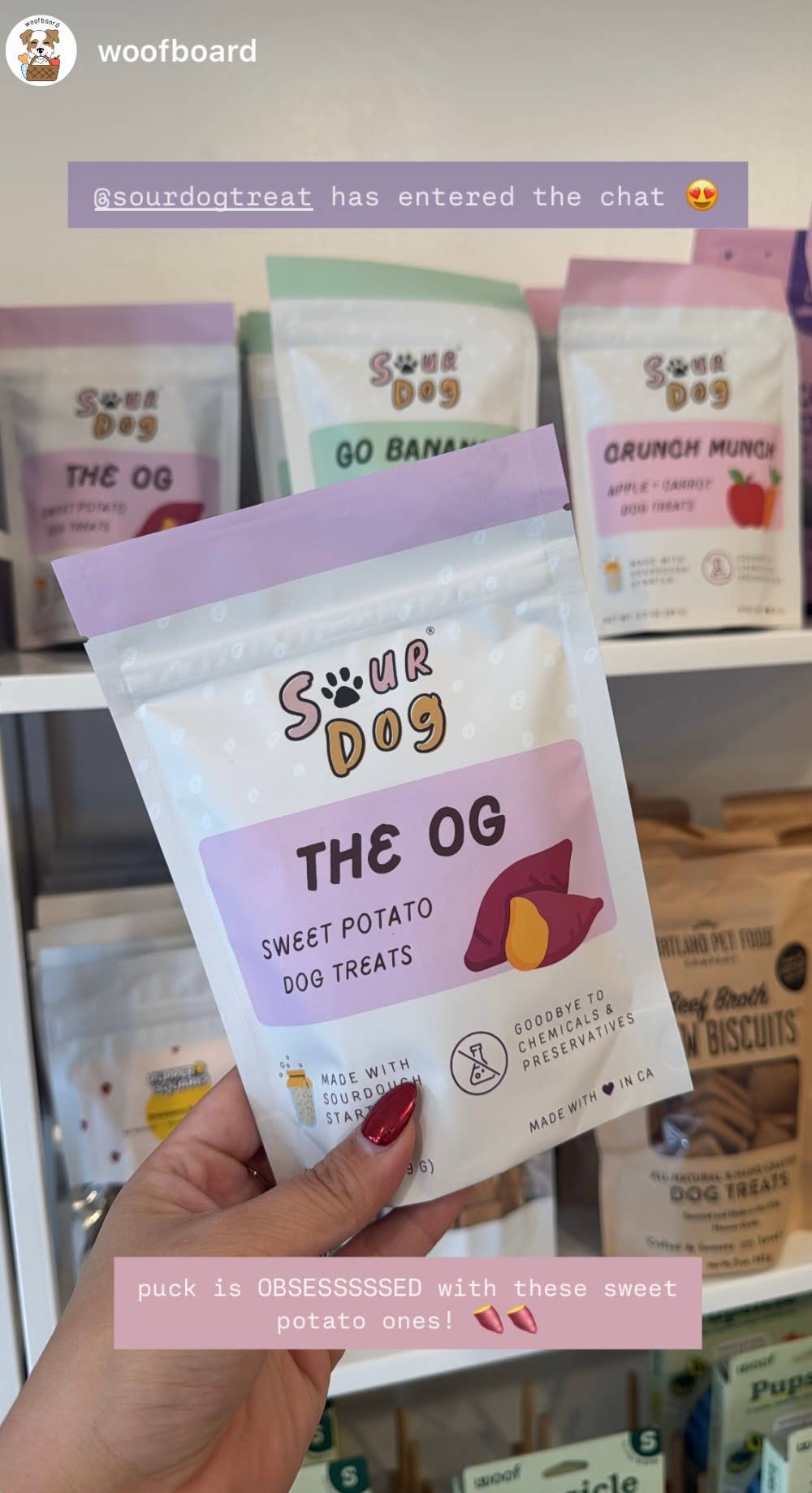 Sweet Potato Sourdough Dog Treats