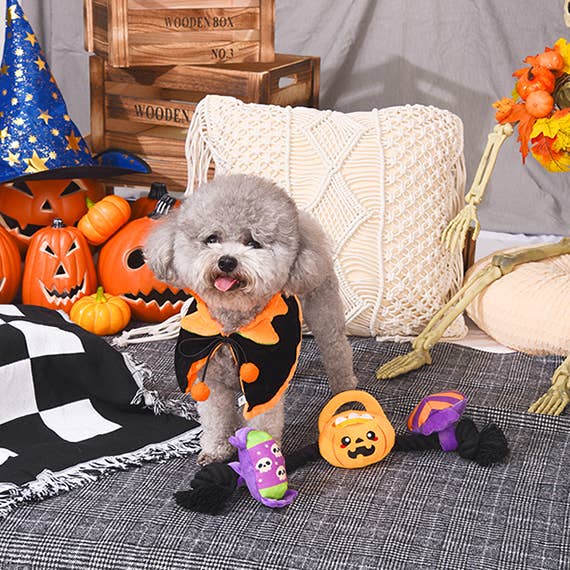 Howloween Candy Rope Toy