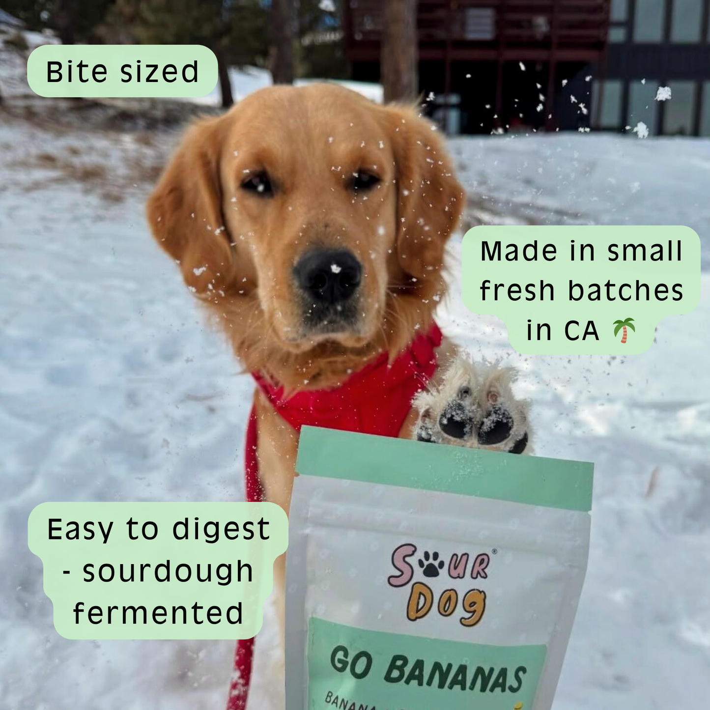 Banana Sourdough Dog Treats