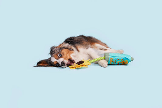 Funflower Seeds Dog Toy