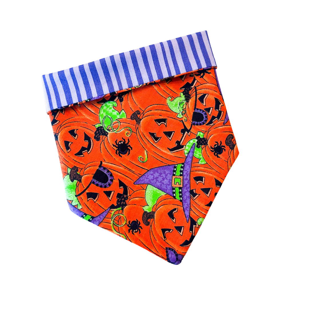 Costume Party Bandana