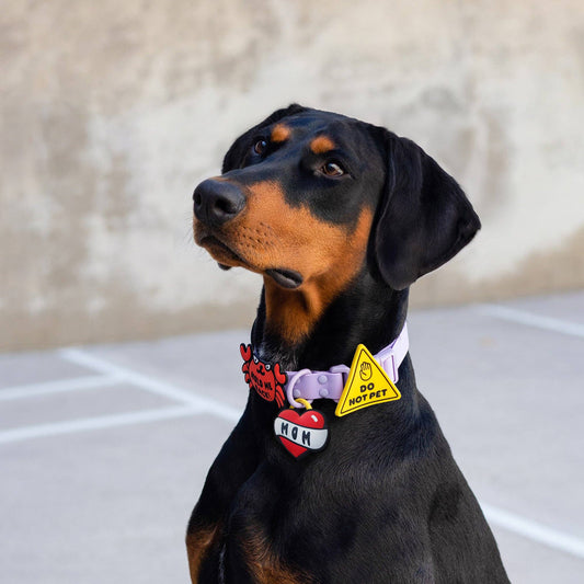 Do Not Pet Jiby Dog Charm