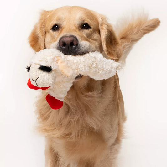 10.5" Lamb Chop Dog Toy