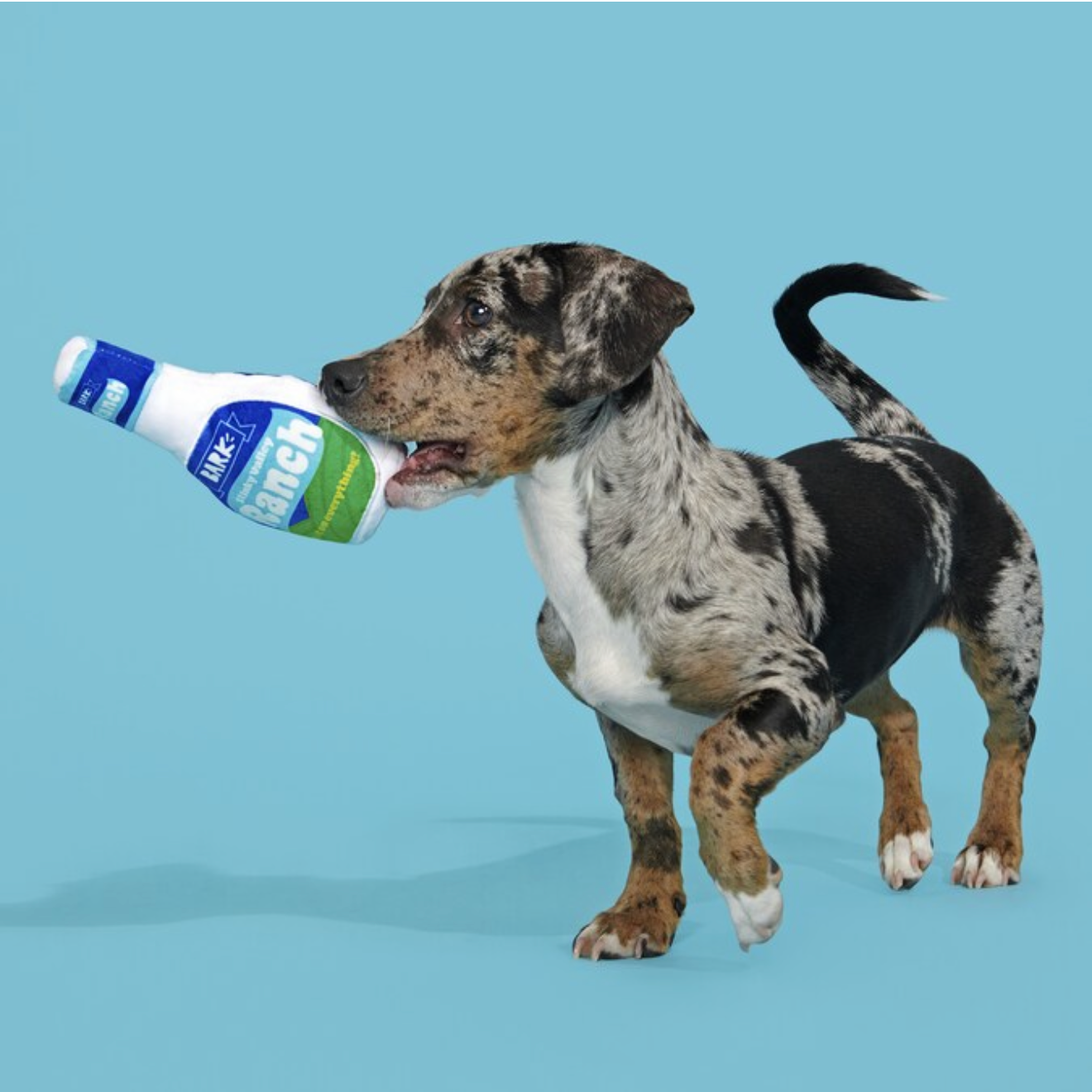 Stinky Valley Ranch Dog Toy