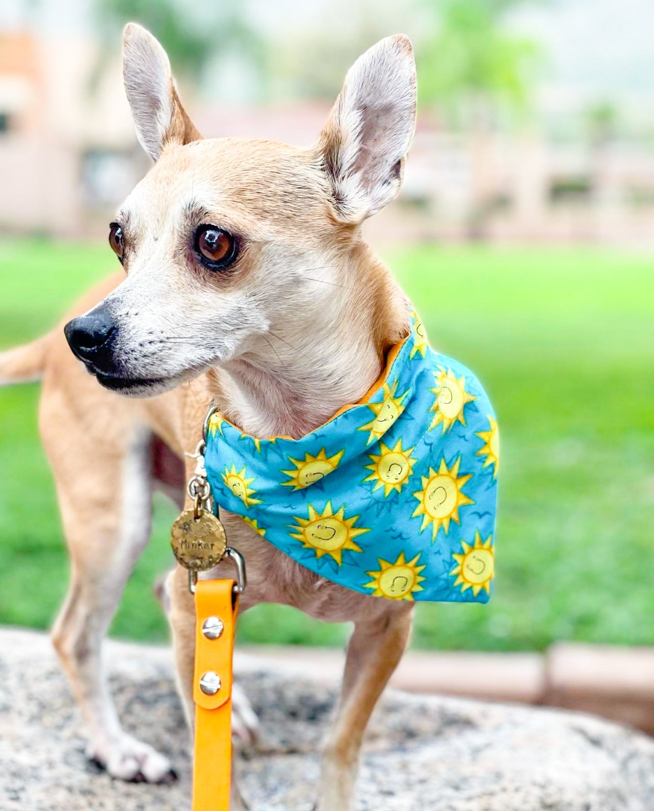 You Are My Sunshine Bandana