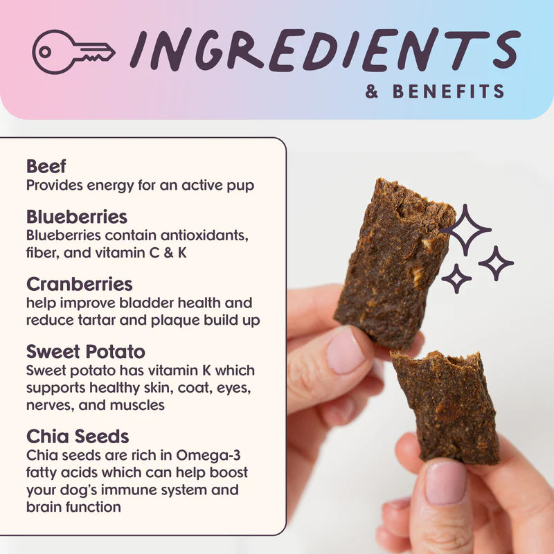 Beef Superfood Jerky Bars