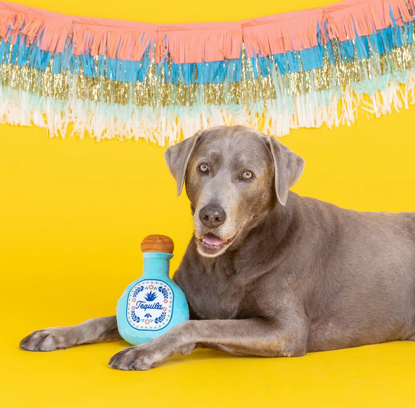 But First Tequila Dog Toy