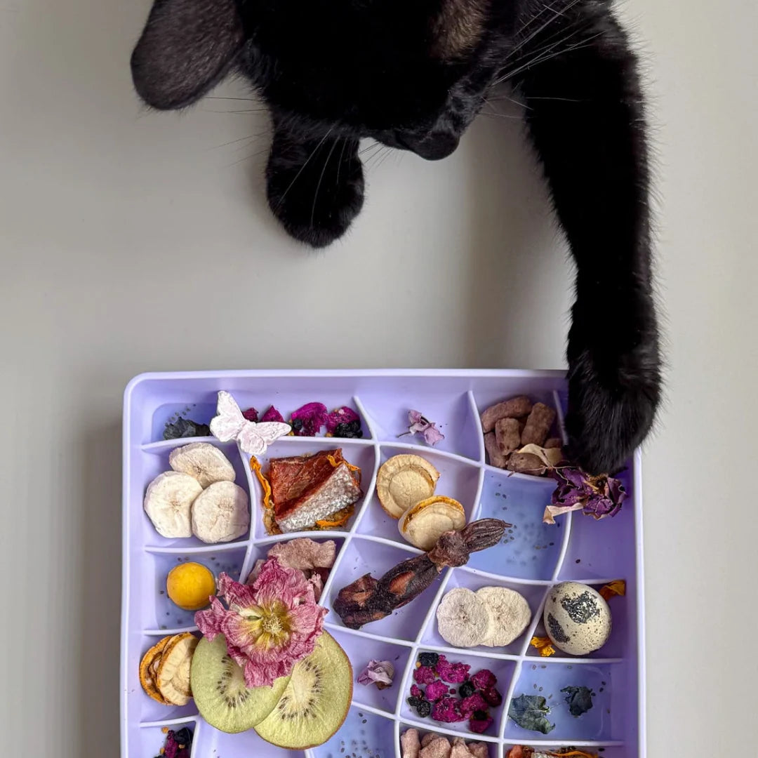 Wavies Slow Feeder Bowl | Voila