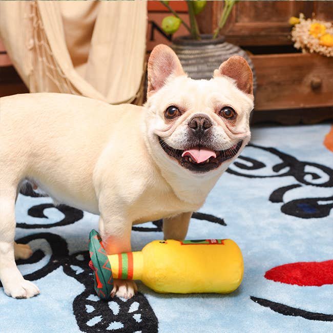 Tequila Dog Toy
