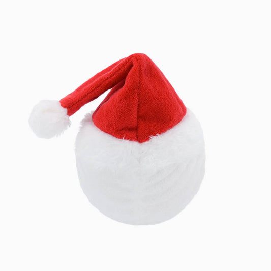 Santa Ball Dog Toy