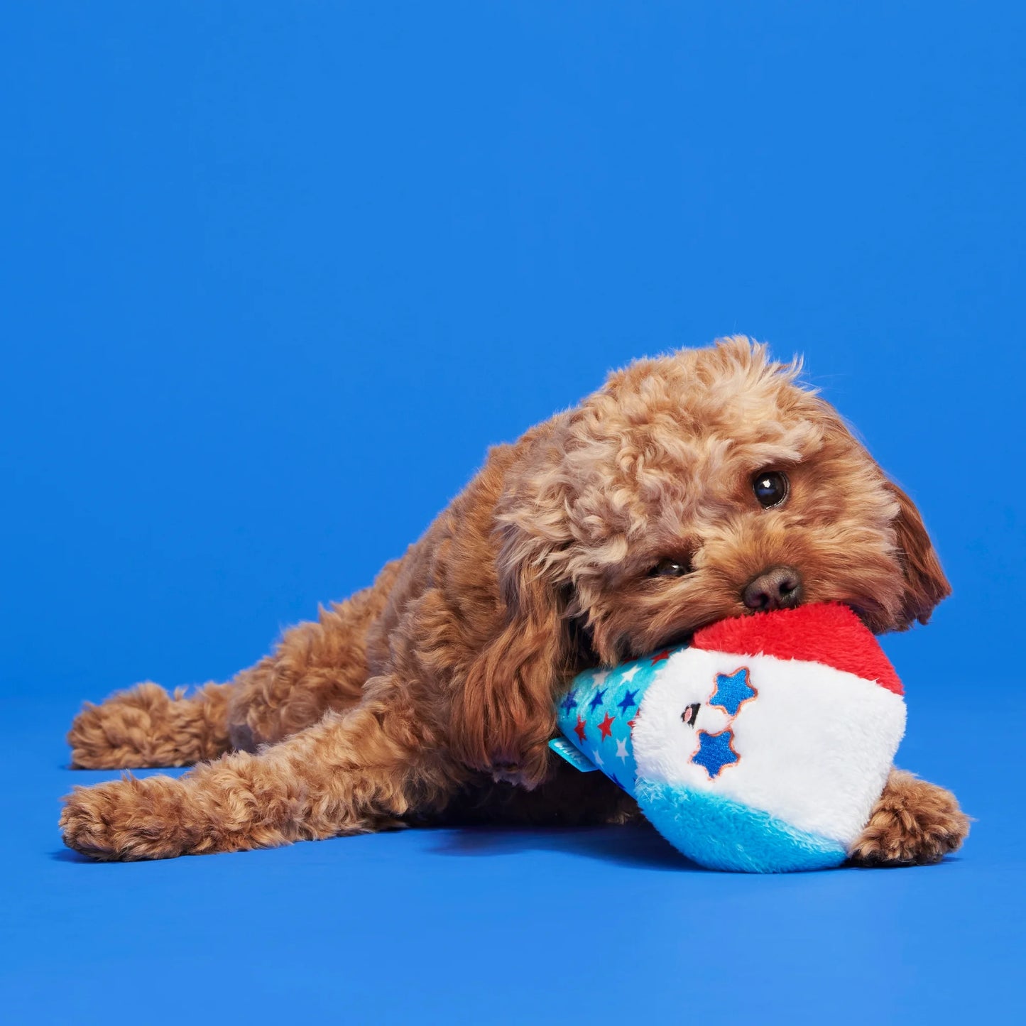Liberty Cone Dog Toy