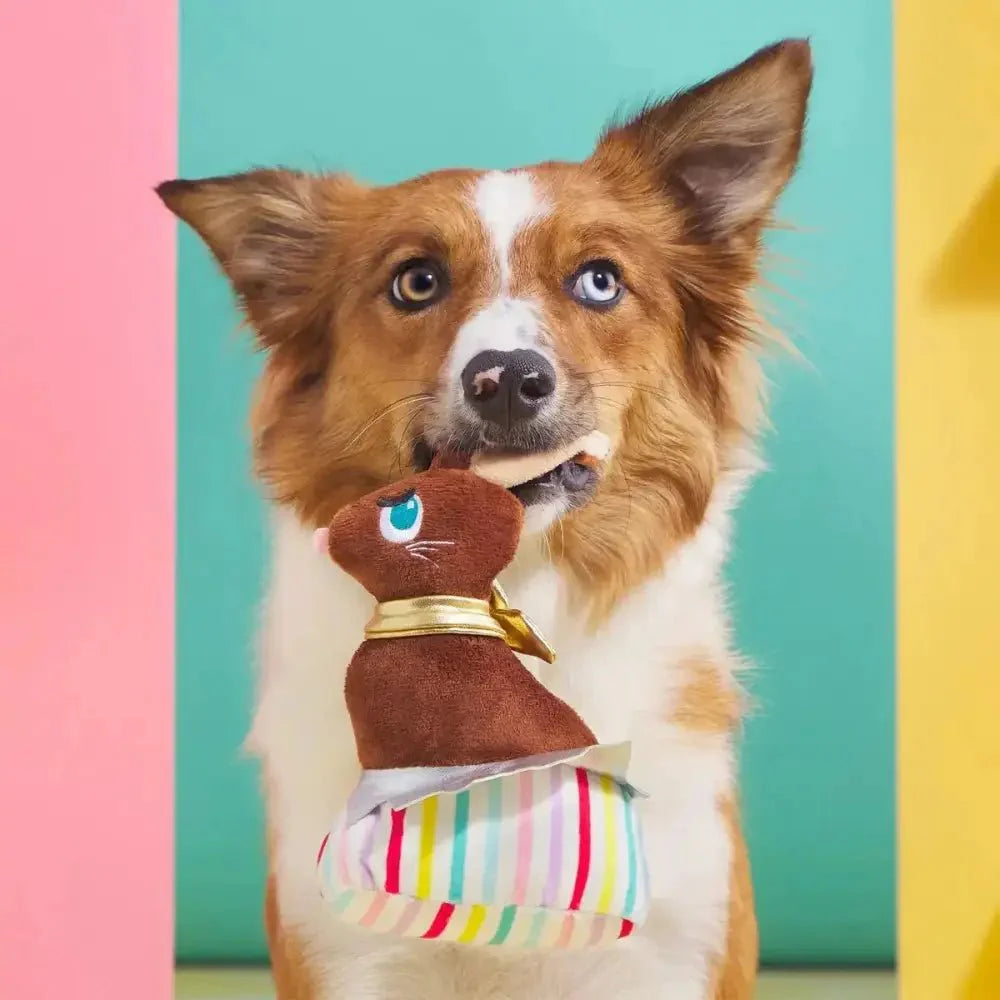 Lil' Bunny Chew Chew Dog Toy