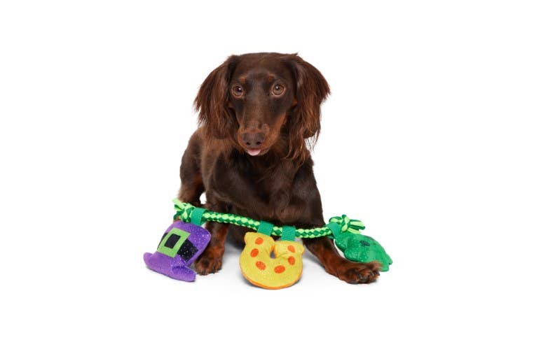 Tuggy Charms Dog Toy