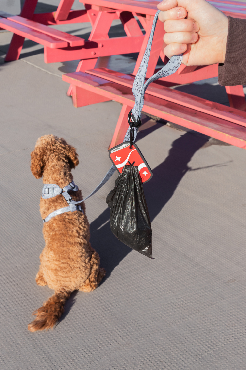 Soda Pop Poopy Loop®