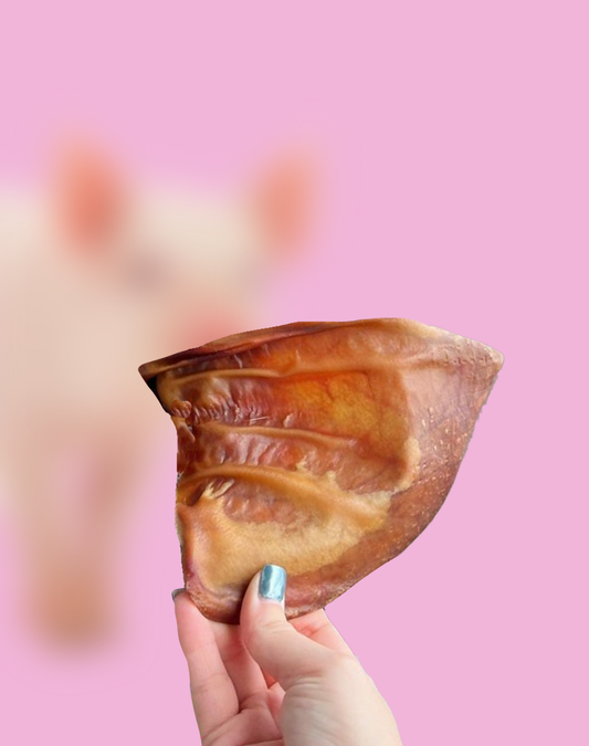 Pork Ear Chews