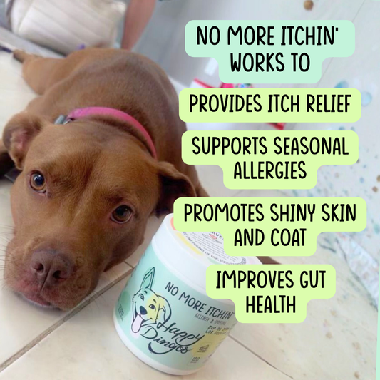 No More Itchin' - Allergy & Immune Supplement