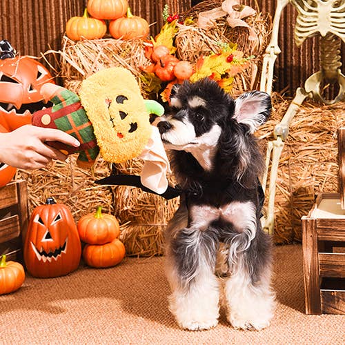 Scarecrow Dog Plush Toy